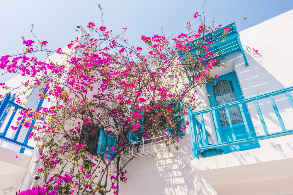 mikonos1_2.jpg