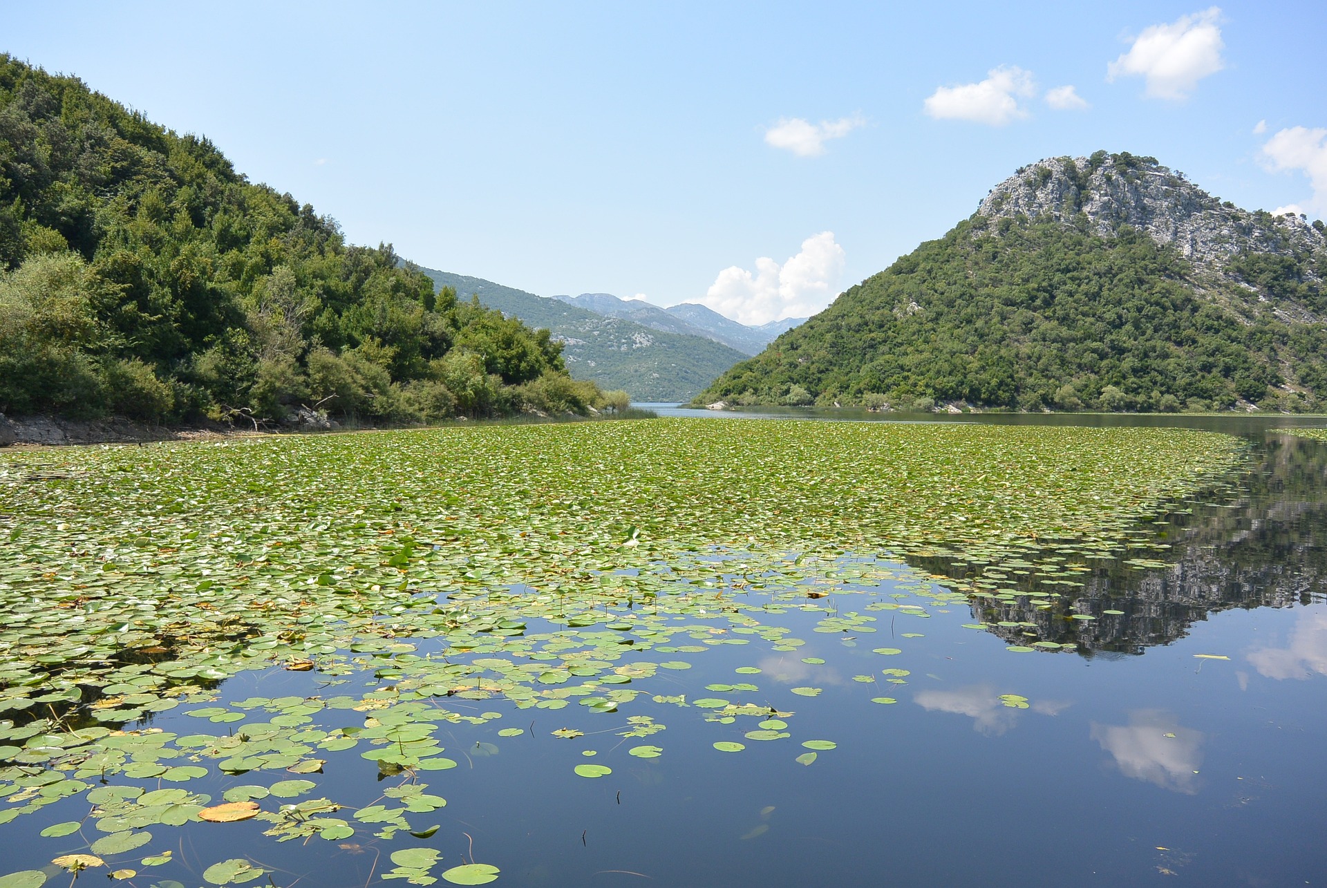 skadar-lake-g0ef7f5445_1920.jpg